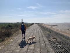 Some easy walking for a bit, on the flood defences, south of Snettisham